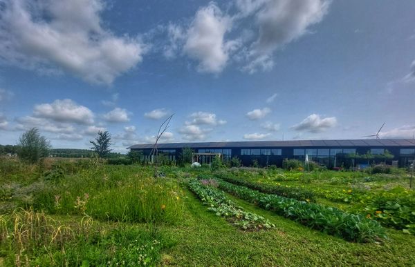 Een tuin met een verscheidenheid aan planten en groenten, met een deel van een Eemgoed longhouse op de achtergrond onder een blauwe lucht met wolken