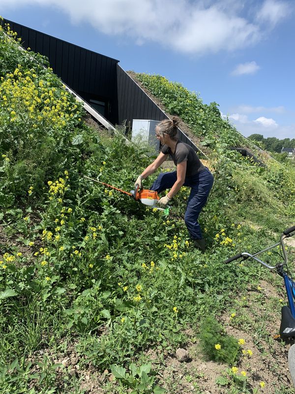 Een vrouw aan het werk met een elektrische heggenschaar op een talud van één van de woningen. Het talud staat vol gele bloemen. De achtergrond toont de moderne zwarte gevel van de Eemgoed woning.