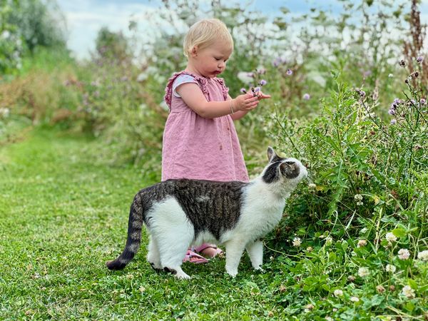Een jong kind in een roze jurkje bekijkt paarse bloemen in een groene, wilde tuin, met rood rond de mond van het snoepen van wat er in het landschap groeit, terwijl een zwart-witte kat ervoor staat.