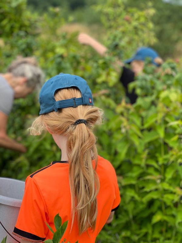 Een kind met een lange, blonde paardenstaart en een blauwe pet staat in een groene omgeving, terwijl het bezig is met het plukken van bessen. Op de achtergrond zijn andere mensen aan het werk in de tuin.