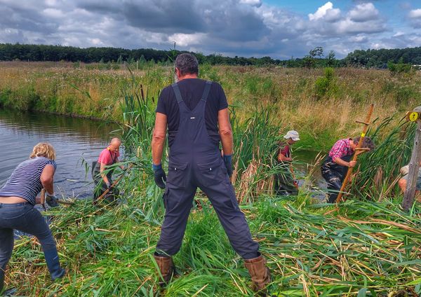 De mensen van de slootgroep die aan het werk zijn bij een waterloop, bezig met het verwijderen van riet en planten. De omgeving is weelderig en groen.