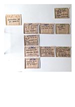 Een muur met een schema van verschillende fases en stappen in het proces, geschreven op beige papier, met titels zoals 'Idee', 'Groep', en 'Gesprek'